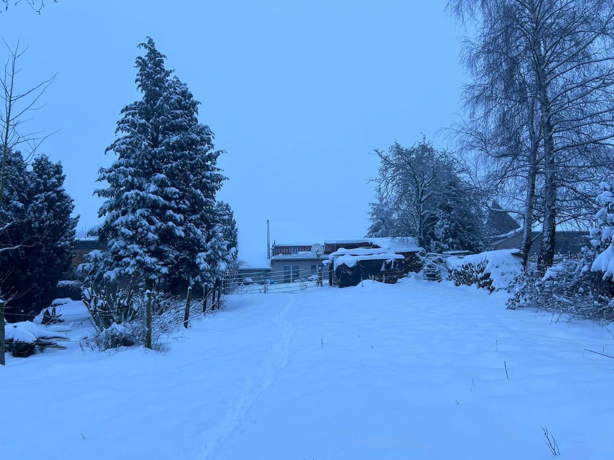 Ferienwohnung Classen Eifel شليدن المظهر الخارجي الصورة